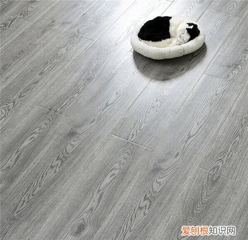 圣象和大自然地板差距有多大，圣象地板还是大自然地板好