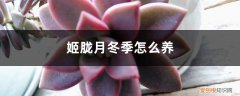 姬胧月如何养 姬胧月冬季怎么养