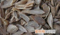 郁金的功效与作用及禁忌副作用食用方法? 郁金的功效与作用及禁忌