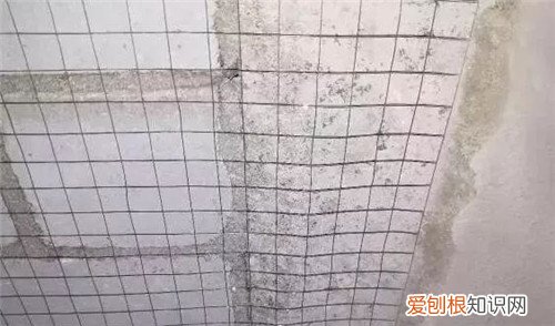 12号铁丝直径是多少,12号铁丝是多少毫米