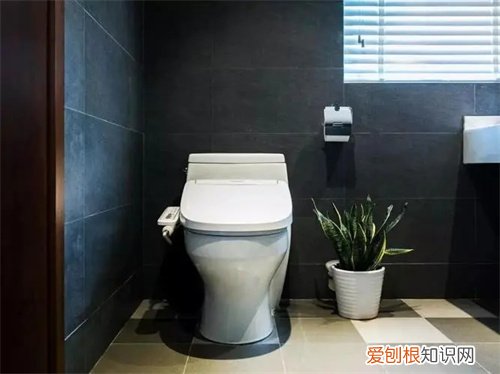 智能马桶怎么选,智能马桶怎么选避坑