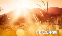 每天晒太阳有什么好处 晒太阳有什么好处?
