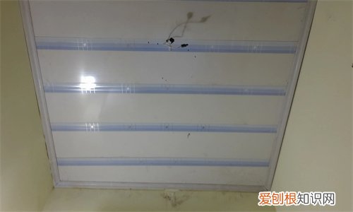 老式长条形吊顶怎么拆，老式长条形吊顶怎么拆吊顶拆一面可以拆不