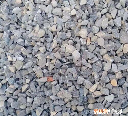 12石子与13石子的区别是什么，12石子与13石子的区别图片