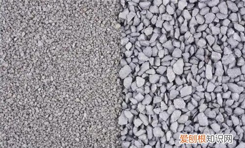 12石子与13石子的区别是什么，12石子与13石子的区别图片