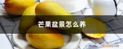 芒果盆景的种植方法 芒果盆景怎么养