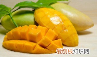 孕妇可以吃芒果的吗早期 孕妇可以吃芒果的吗