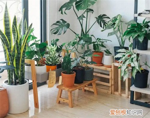 地砖有甲醛吗，地砖里面有甲醛吗
