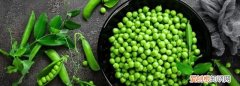 豌豆粒生冻还是熟冻，冷冻甜豌豆是生的还是熟的