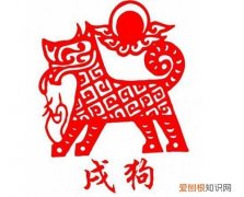 属狗的和什么属相相冲 属狗2021年运势怎样