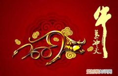 属牛和属虎谁压谁 为什么属牛和属虎合适