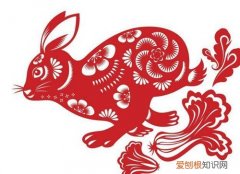 木肖是什么生肖 木肖的运势如何