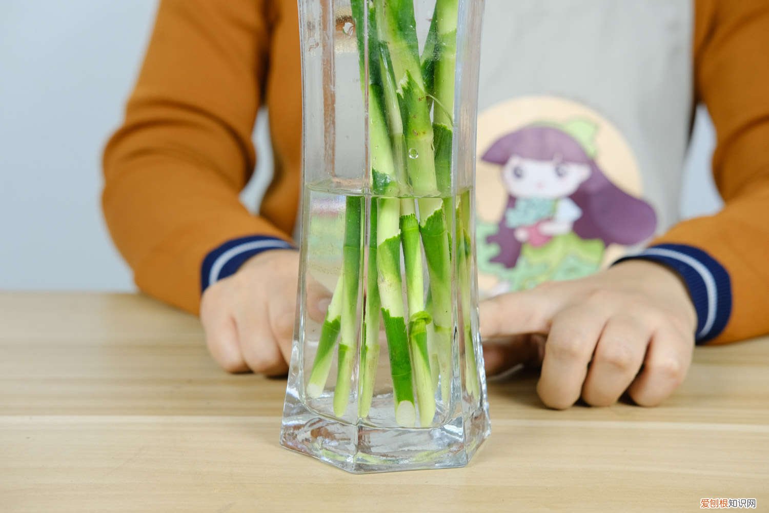 节节高富贵竹怎么养才能更旺盛 富贵竹怎么养才能更旺盛