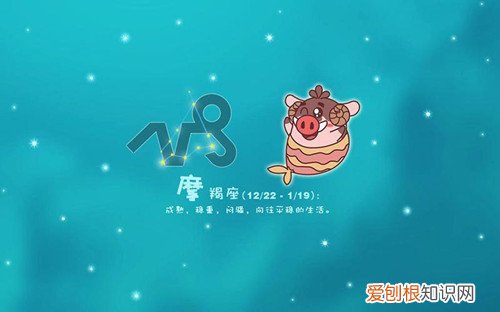 摩羯男和摩羯女合适吗摩羯女事业运势