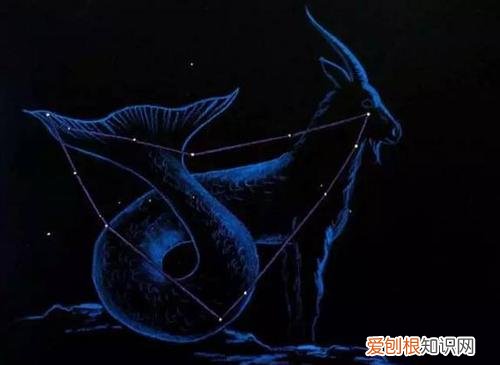 摩羯座男生配什么星座女生 摩羯座2021年贵人运势