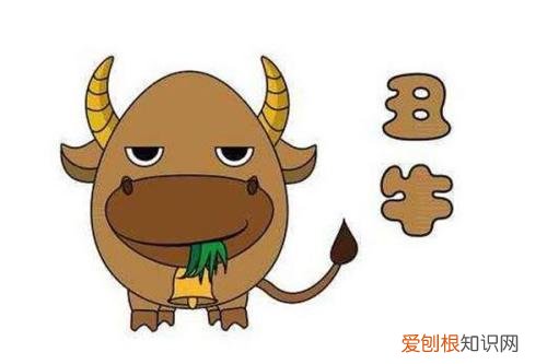 属牛跟属虎的婚姻配吗 属牛和属虎婚配优缺点