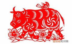 1985年属牛女一生有几次婚姻 85属牛女的婚姻与命运