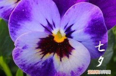 2023年七月七日结婚好吗 2023农历七月初七结婚是好日子吗