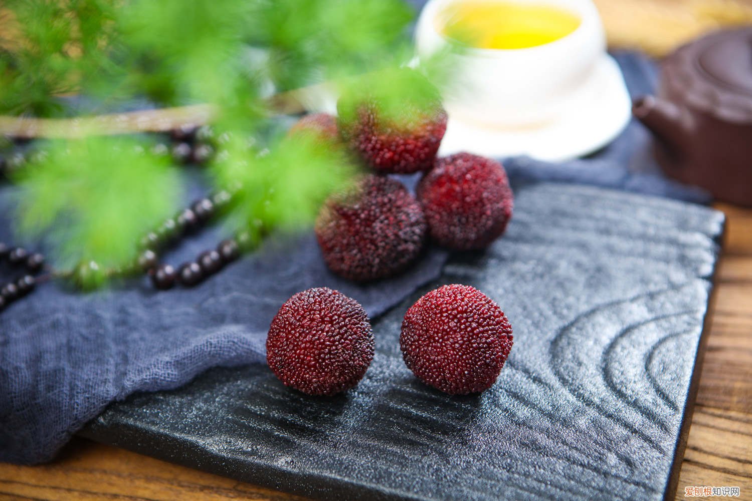 杨梅树怎么栽,需要什么土壤呢 杨梅树怎么栽，需要什么土壤