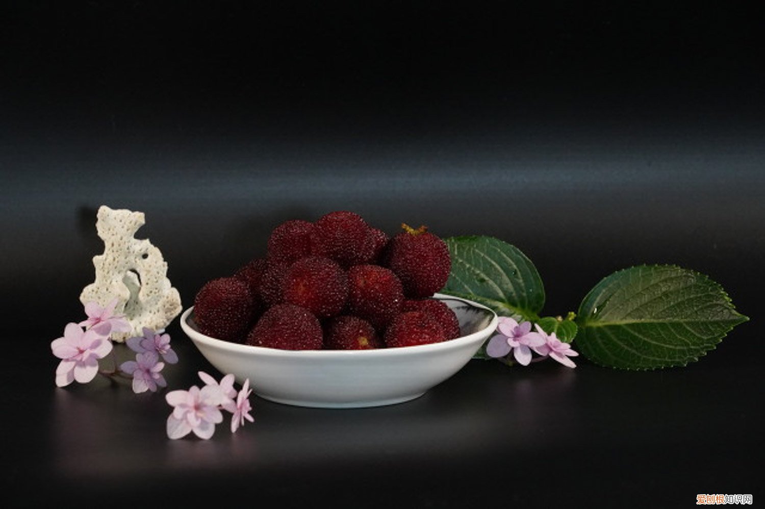 杨梅树怎么栽,需要什么土壤呢 杨梅树怎么栽，需要什么土壤