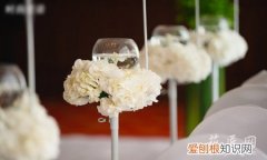 杯中的酒花是什么意思 酒杯花的信息大全及其酒杯花的来历