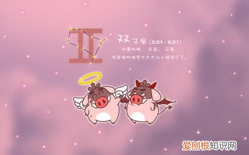 双子座喜欢什么样的女生 双子座男生的性格