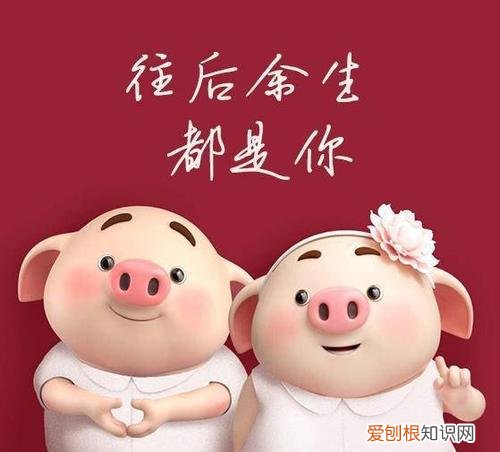 1983年女猪有几次婚姻 1983年男猪运势如何