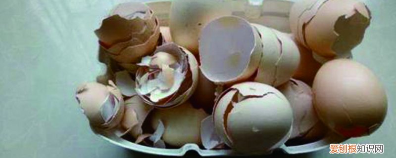 鸡蛋壳可以做花肥吗? 鸡蛋壳可以做花肥吗，哪些花可以用鸡蛋壳