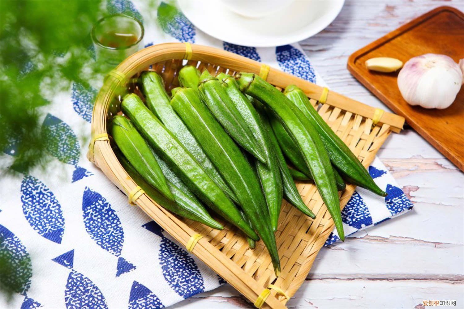 秋葵什么时候播种? 秋葵几月份播种,播种后的注意事项有哪些