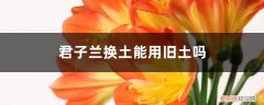 君子兰换新土以后用不用马上浇水 君子兰换土能用旧土吗，换完后要浇水吗？