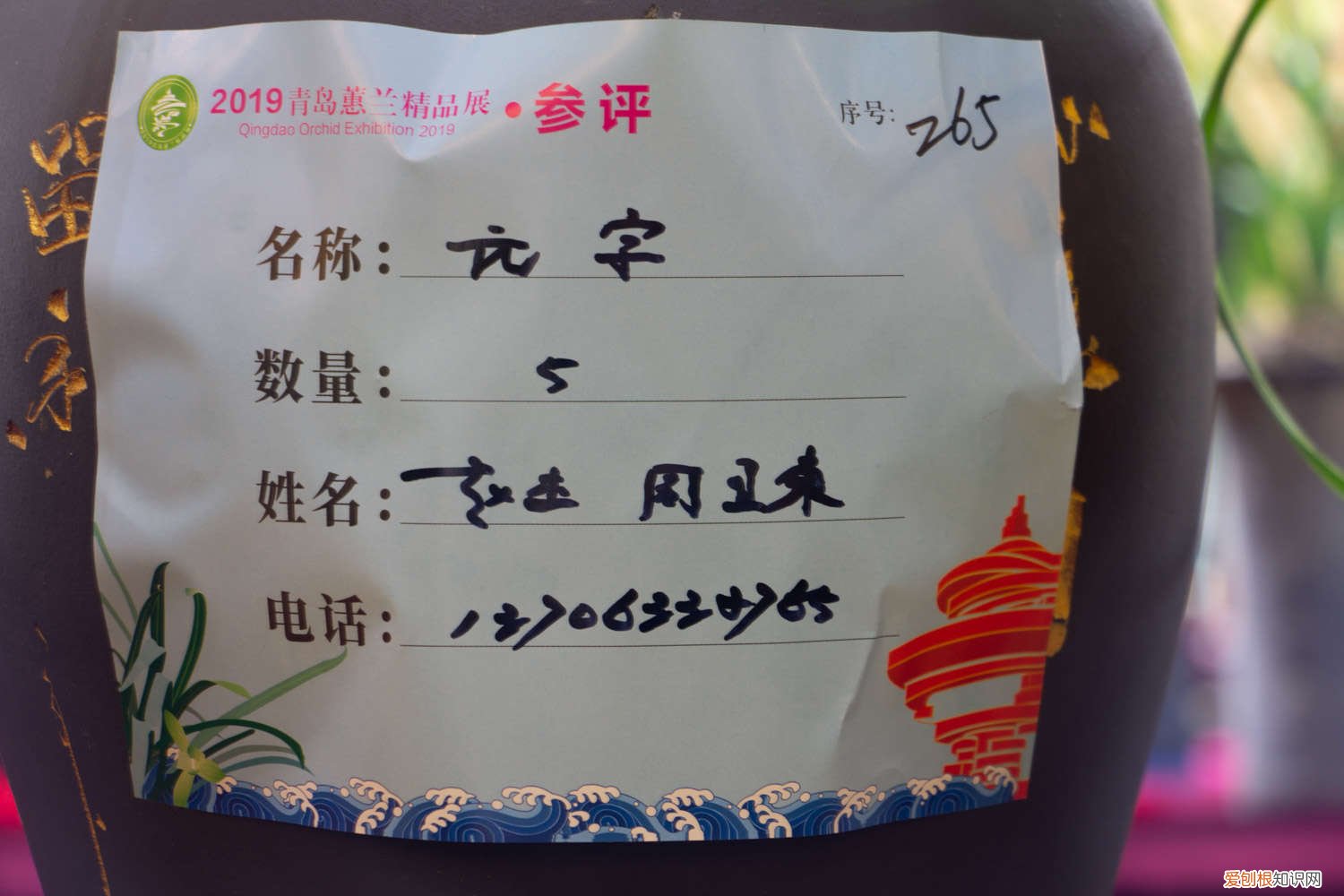 兰花分盆时哪些根可以剪掉 兰花根太多怎么分株，可以剪掉吗？