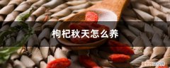 秋天枸杞泡什么好 枸杞秋天怎么养