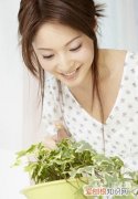 家里种芦荟有什么好处 家里种芦荟有那些好处