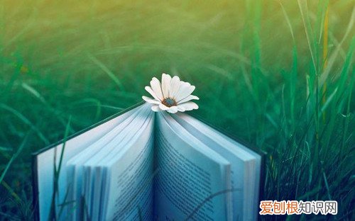骗了女朋友怎么求原谅 自己骗了女朋友怎么安慰