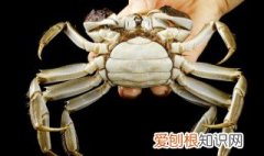 茄子可以跟螃蟹一起吃吗 茄子,螃蟹,一起吃