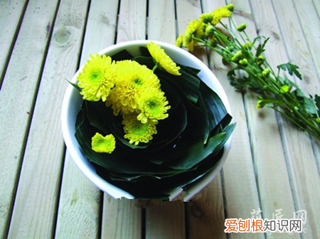 翠菊需要醒花吗 怎么让采下来的翠菊存活久点又可装饰呢
