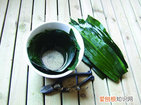 翠菊需要醒花吗 怎么让采下来的翠菊存活久点又可装饰呢