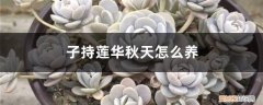 子持莲华的养殖方法和注意事项 子持莲华秋天怎么养