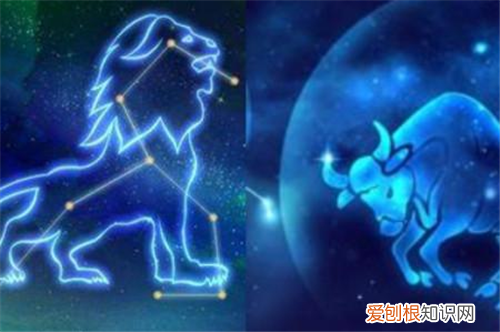 狮子座男和金牛座女配吗 让狮子男着迷的女人