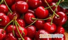 樱桃能跟牛奶一起吃吗 樱桃,一起吃,牛奶