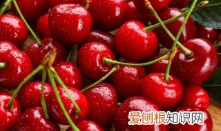 樱桃能跟牛奶一起吃吗 樱桃,一起吃,牛奶