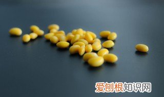 黄豆可以跟牛奶一起吃吗 黄豆,一起吃,牛奶