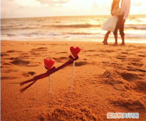 狮子座和巨蟹座配吗 不愿意找对象的星座