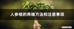 人参榕的养殖方法和注意事项盆景怎么修剪 人参榕的养殖方法和注意事项