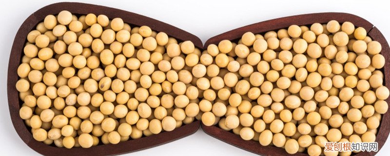 北方种植黄豆的时间 北方黄豆种植时间和技术