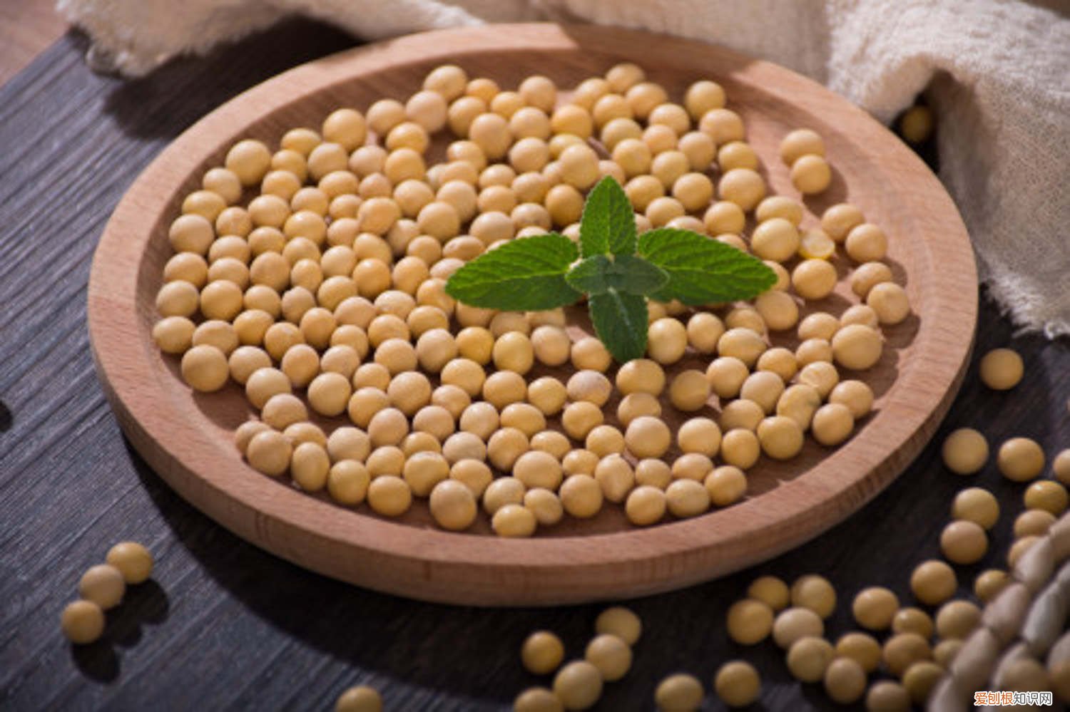 北方种植黄豆的时间 北方黄豆种植时间和技术