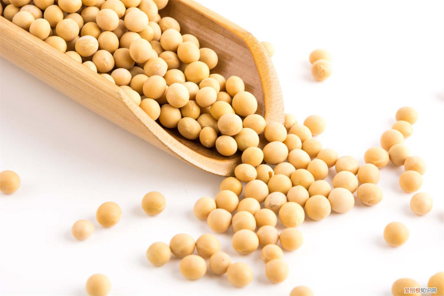 北方种植黄豆的时间 北方黄豆种植时间和技术