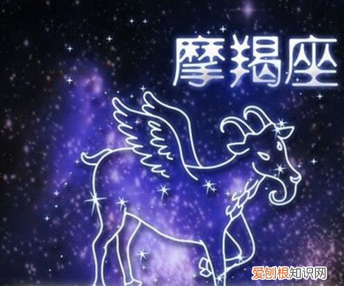 摩羯座命中注定的真爱 2021摩羯座女全年运势