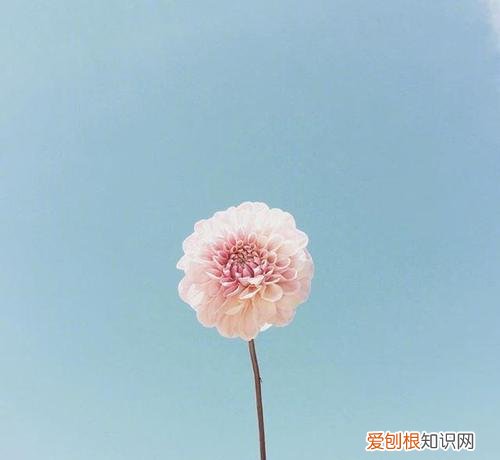 写给长辈的暖心话 写给父母的话简短真实