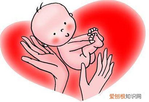 2020年新生儿上户口规定 新生孩子上户口流程